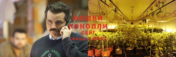 СК Богданович