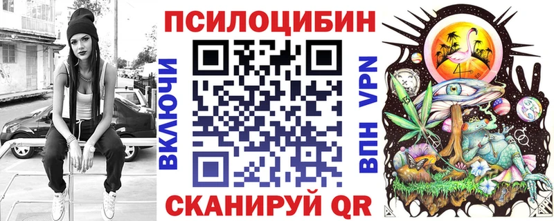 Галлюциногенные грибы Psilocybine cubensis  Старица 